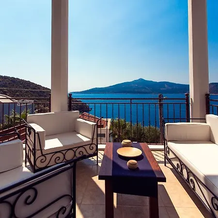 Panderus * Kalkan
